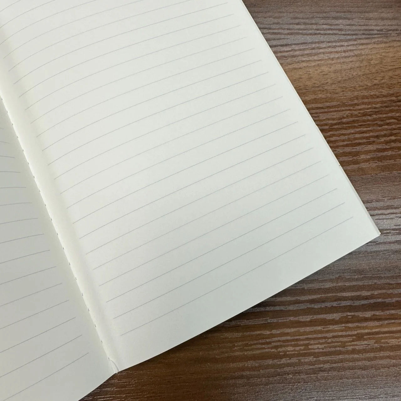 Graphilo Notebook Lined