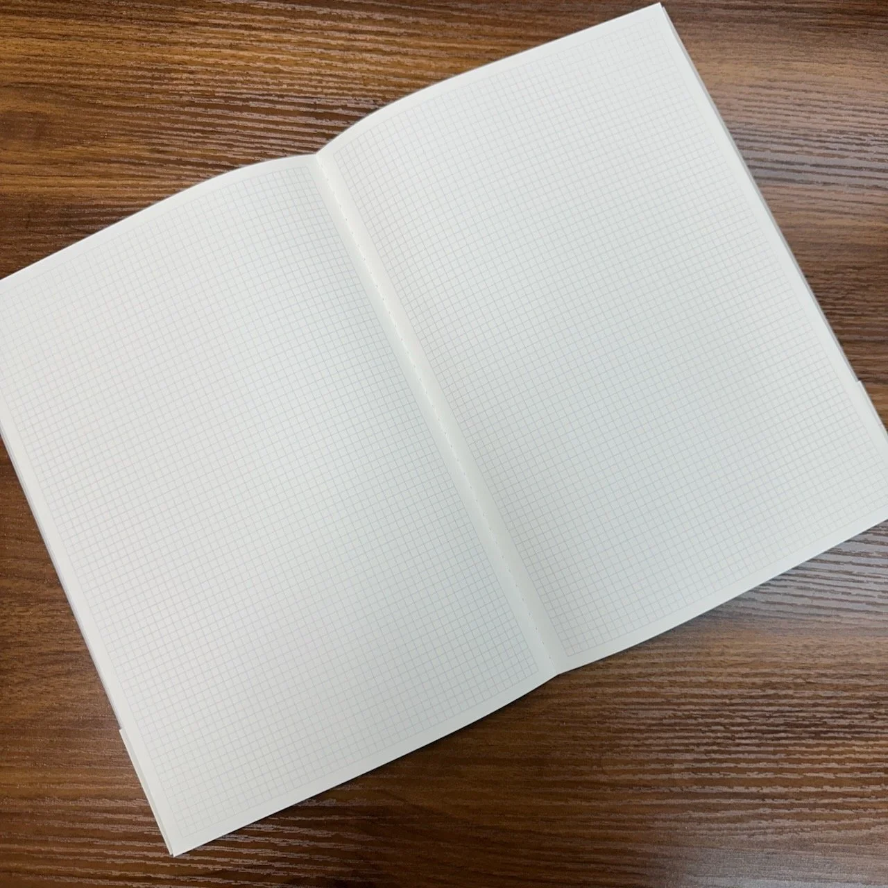 Graphilo Notebook A4 Grid