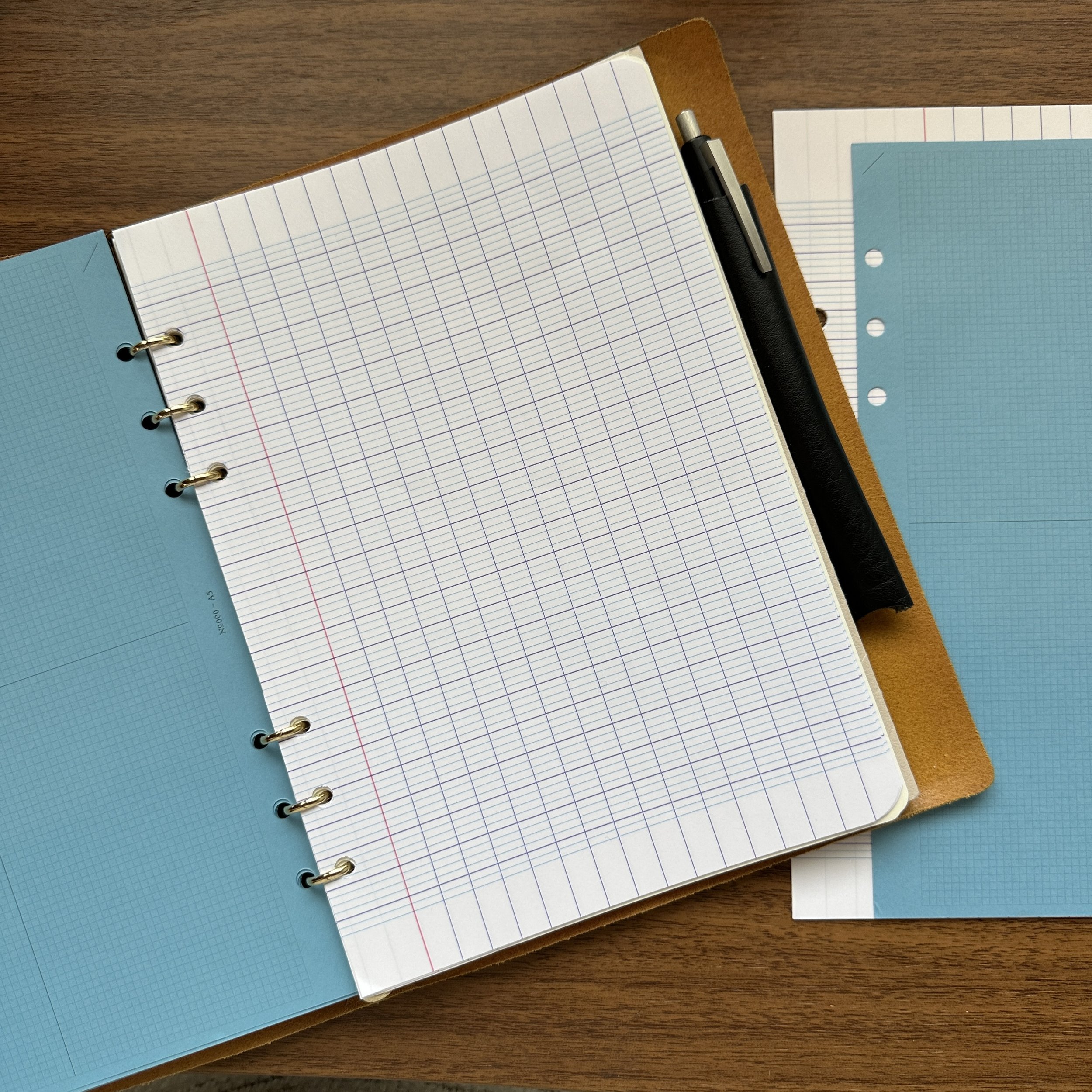 Clairefontaine French-Ruled Looseleaf Sheets — The Gentleman Stationer