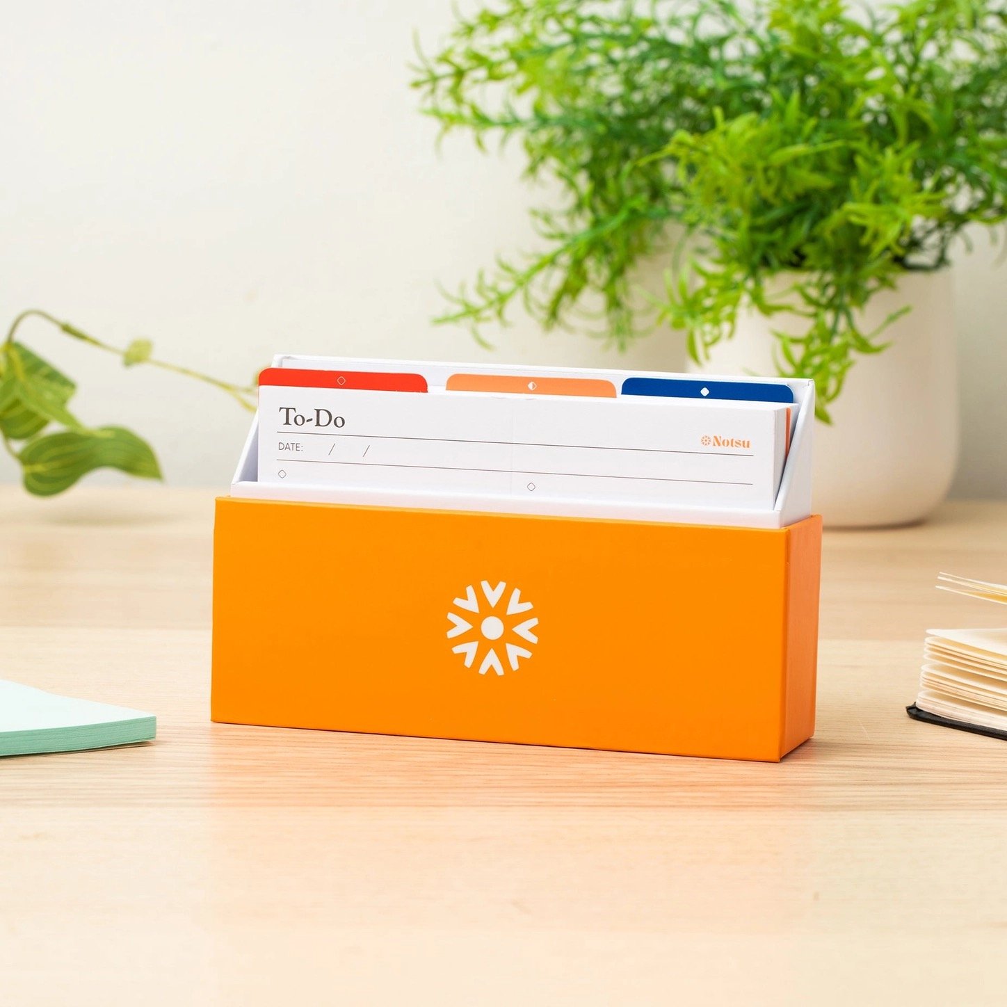 Notsu "Centre" Cover Shot