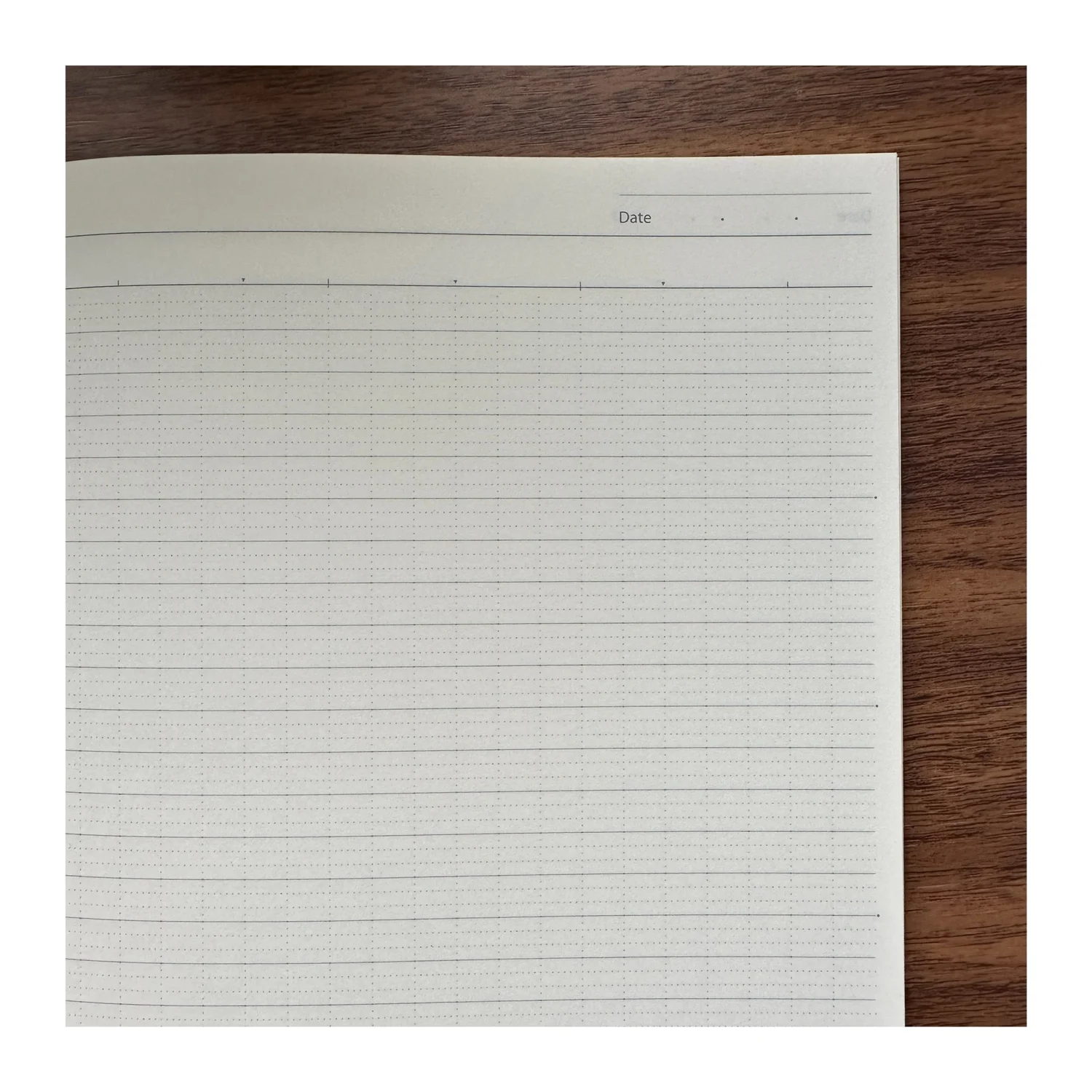 Notebook Review: ProFolio Oasis Notebook — The Gentleman Stationer