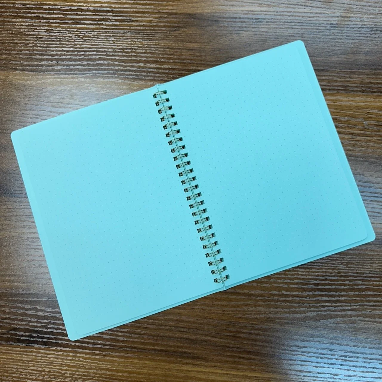 Midori Soft Color Wire Bound Spiral Notebook (Green Open)