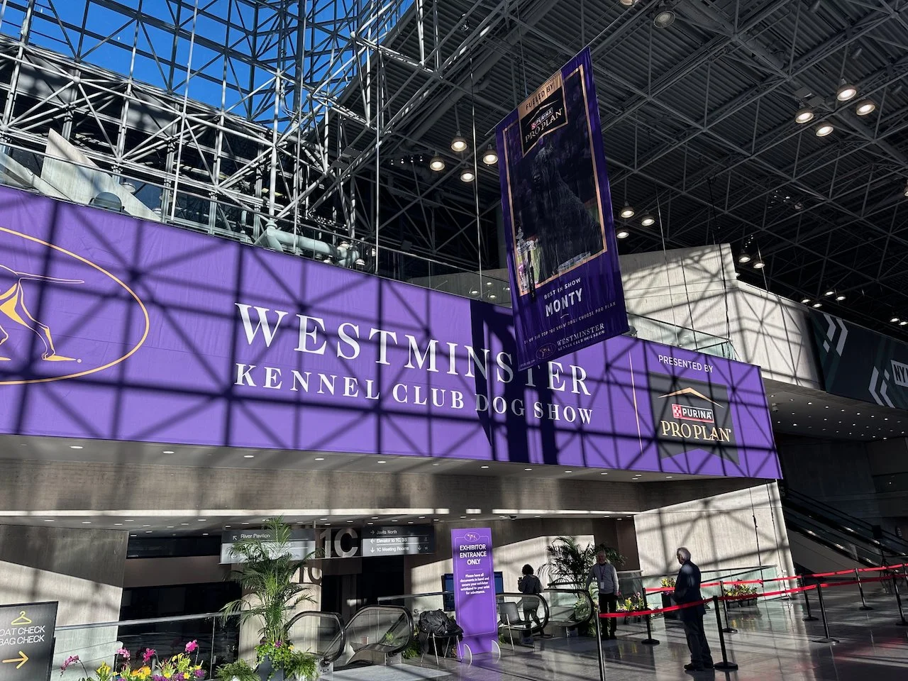 Westminster Dog Show 2026