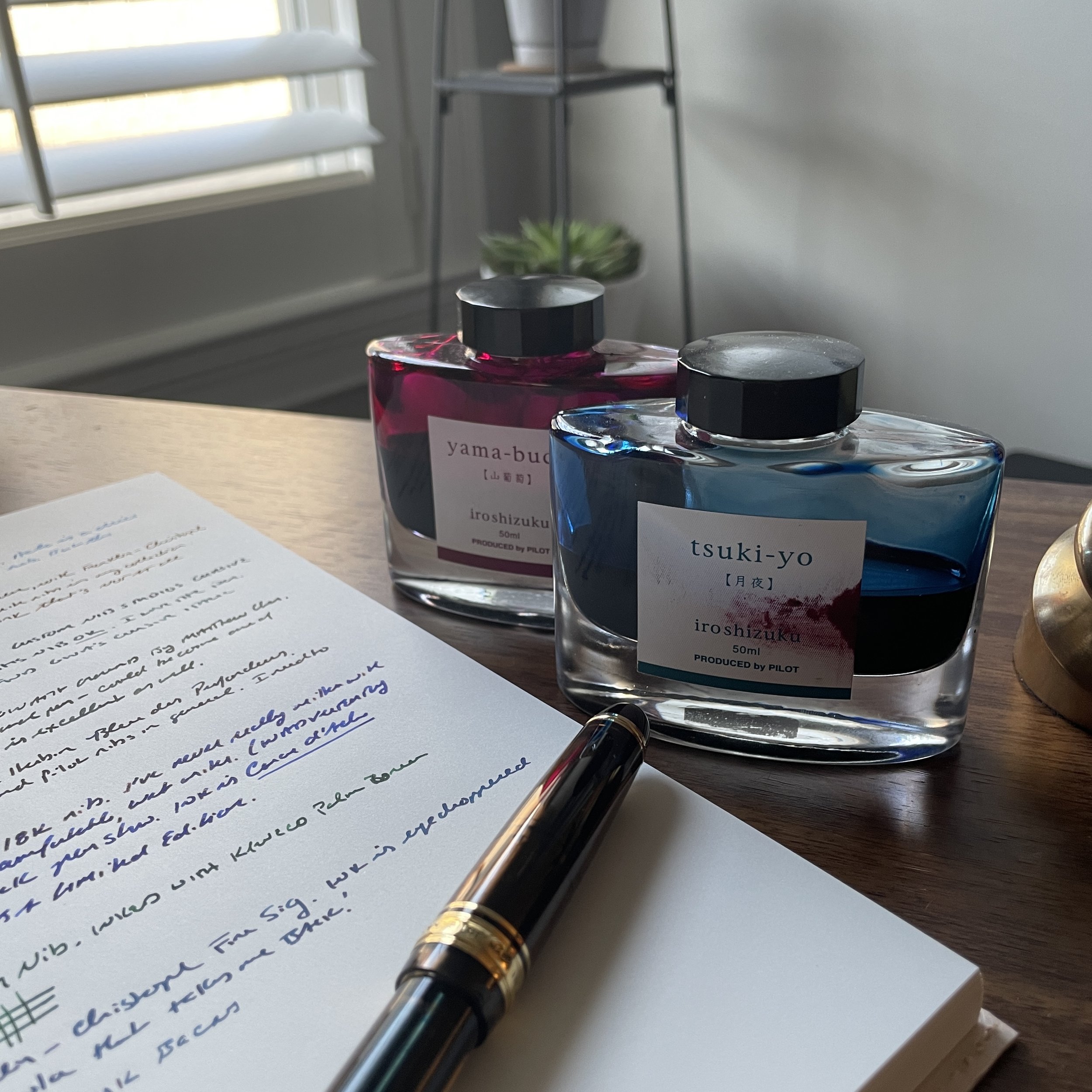 Everyday Writers: The Best Fountain Pen Inks for Daily Use — The Gentleman  Stationer