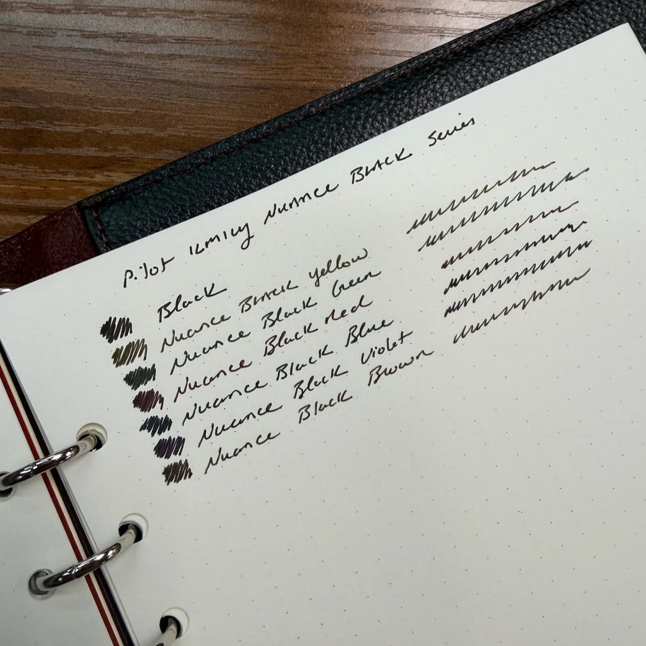 Pilot ILMILY Nuance Black Gel Pens Writing Sample (Copy)
