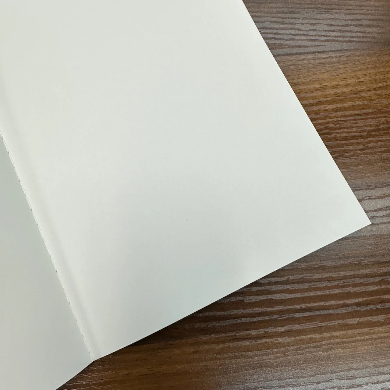 Graphilo Paper Blank