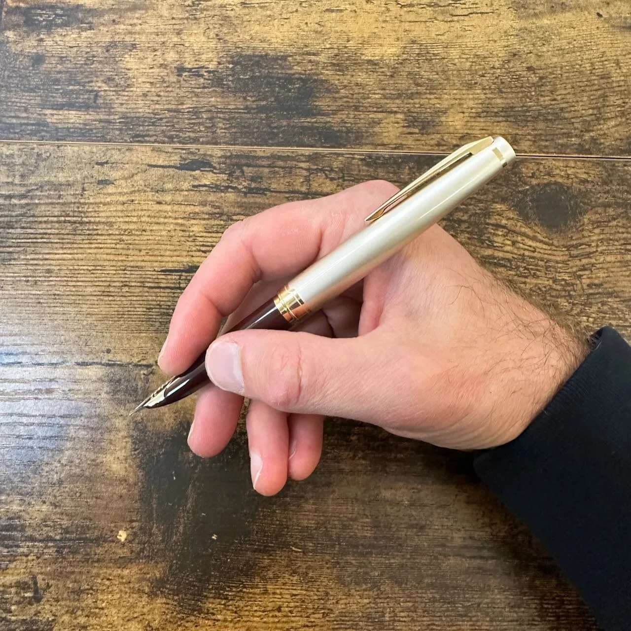 Pilot E95s Burgundy In-Hand