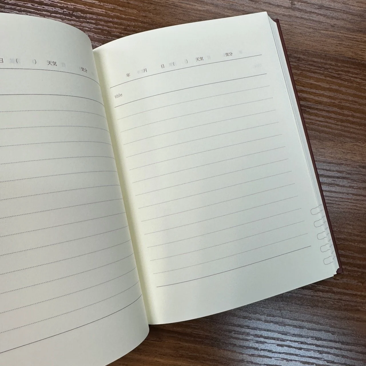 Midori One-Year Diary Page Layout