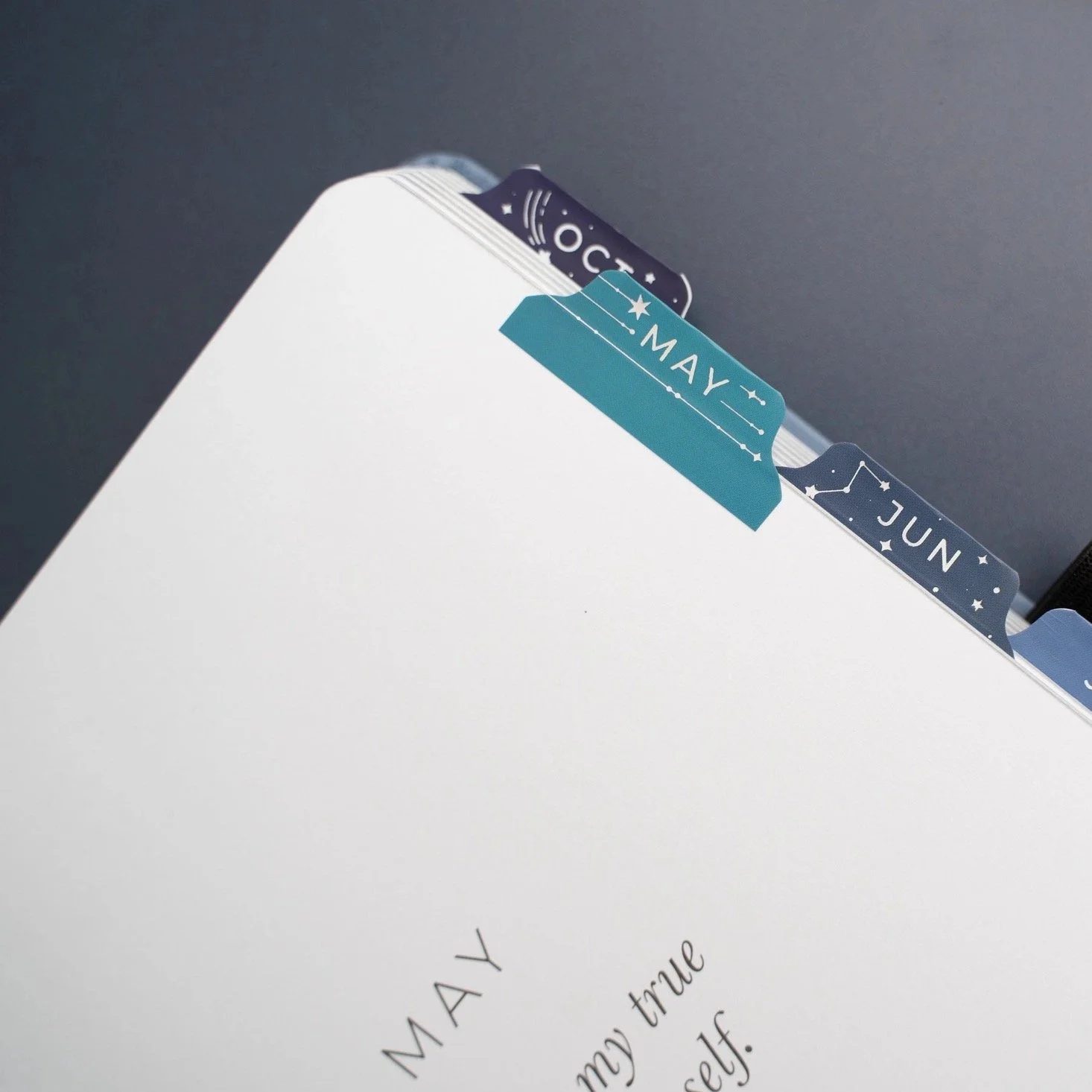 Archer & Olive Wonderstruck Planner Tabs