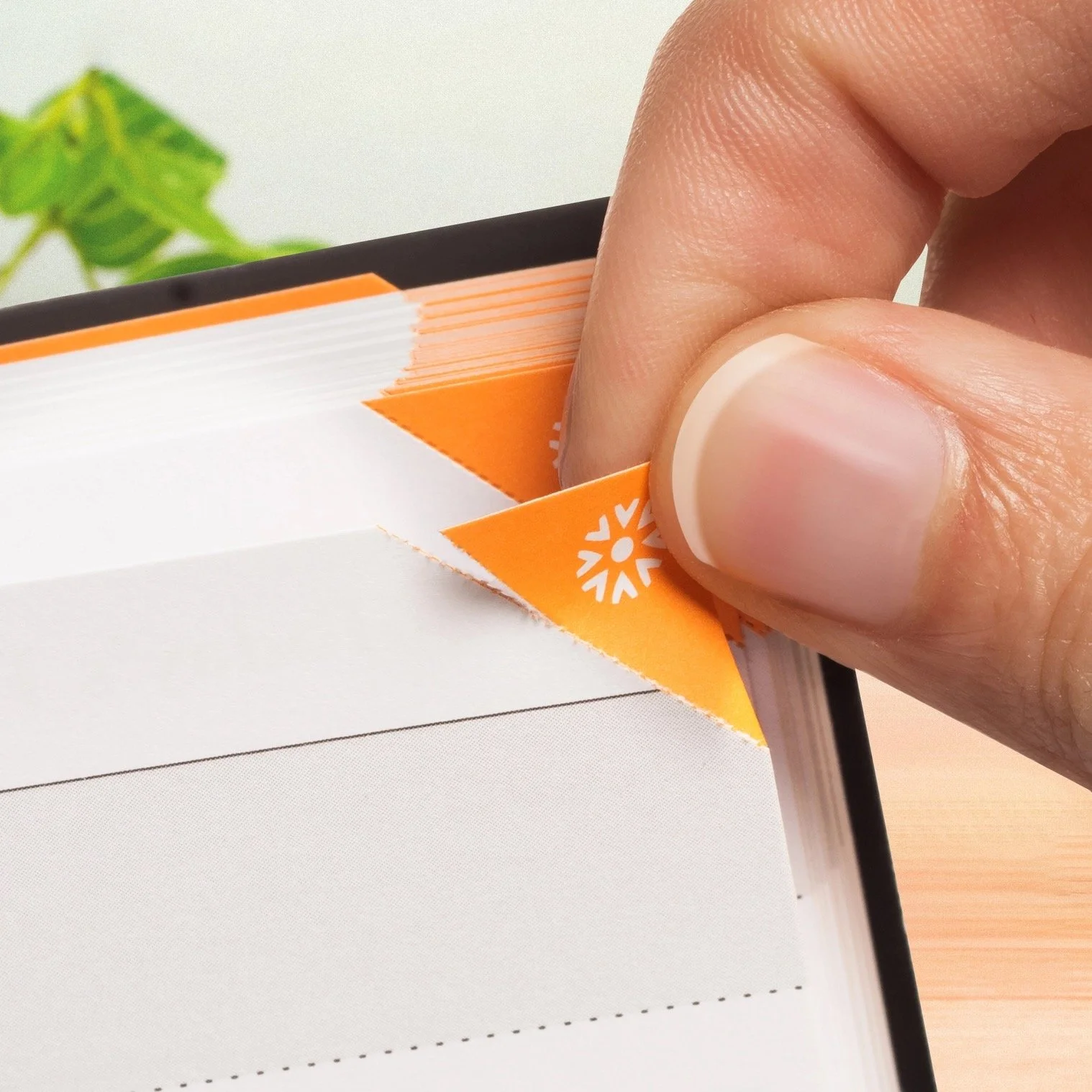 Notsu Perforated Corners