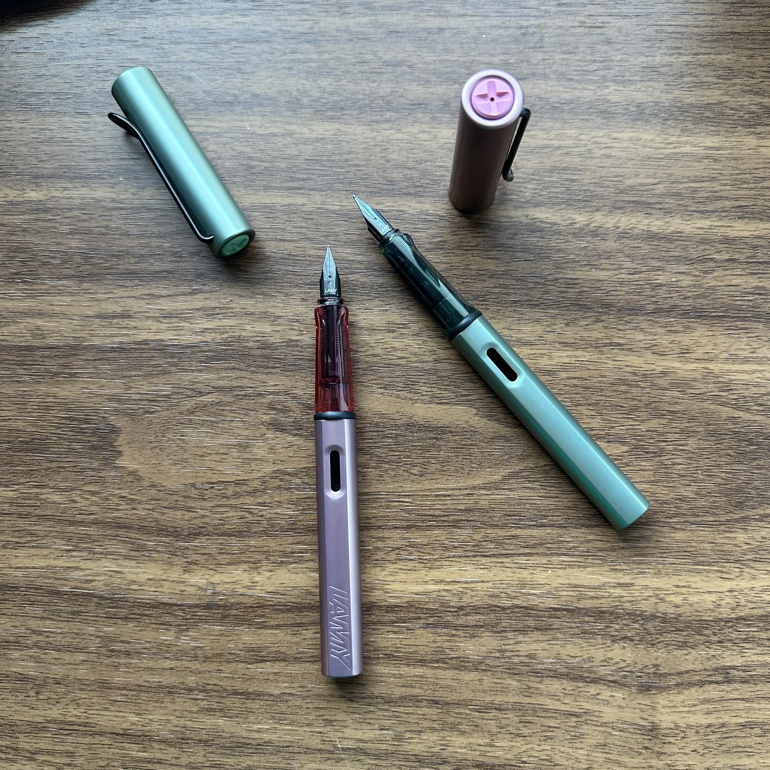 Lamy AL-Star Fountain Pen Sage and Autumn Pink overhead shot