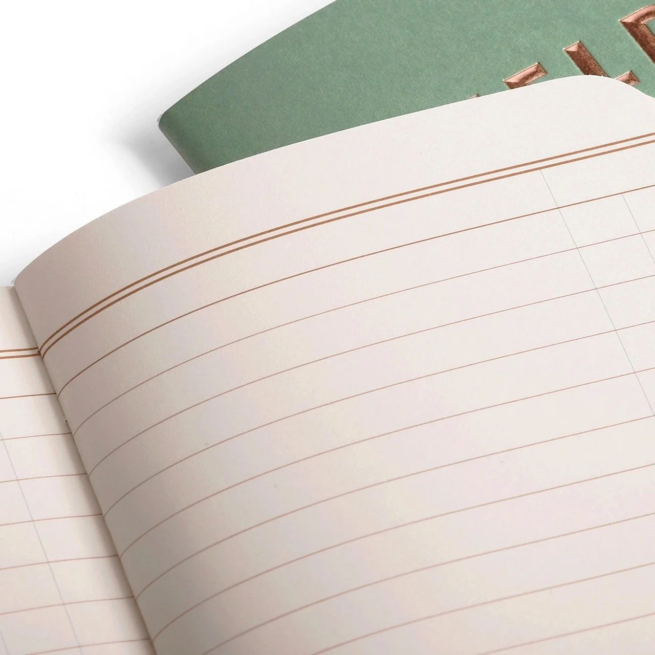 Field Notes Lucky Edition Interior