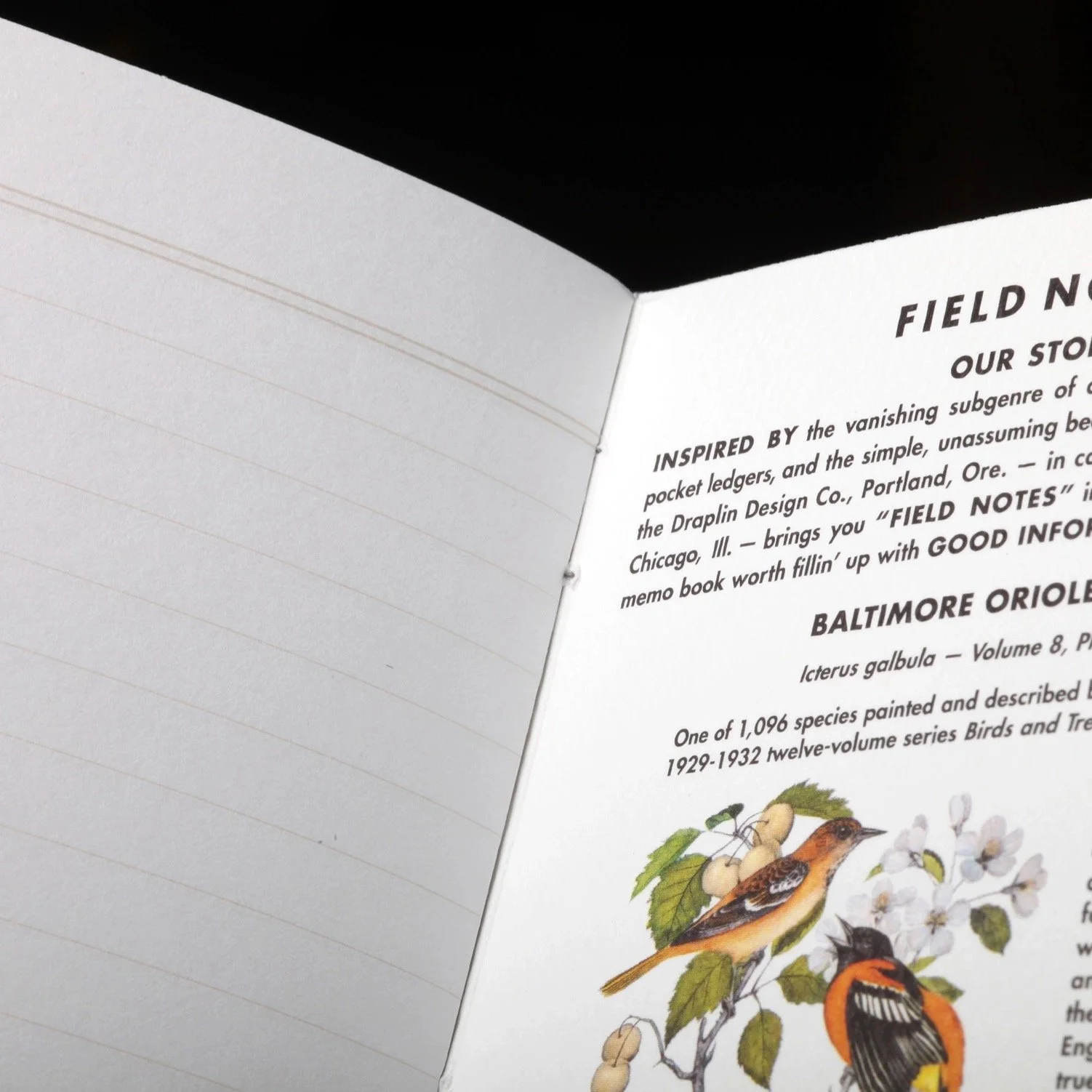 Field Notes Birds and Trees of North America Internals