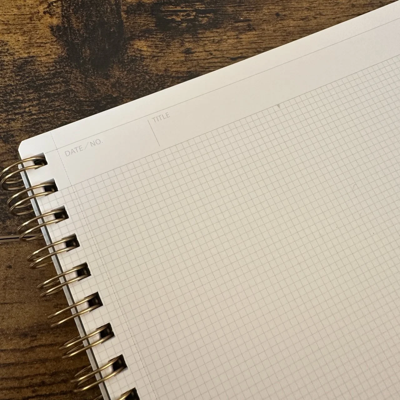 Mnemosyne x Kleid Header