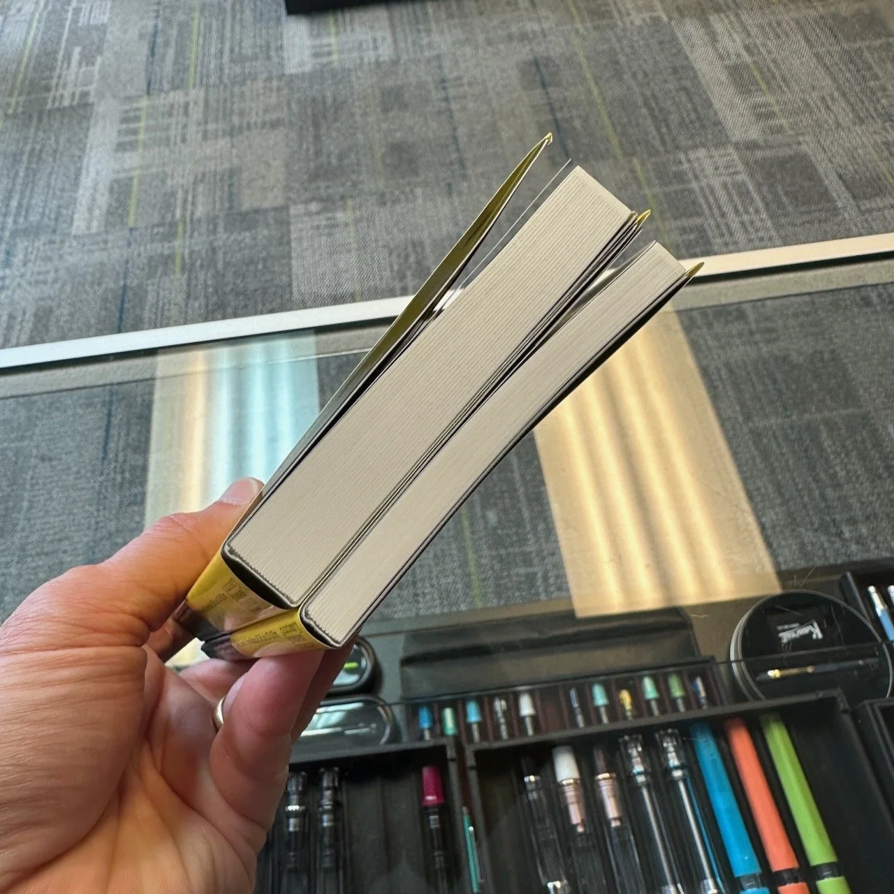 Stalogy Thickness Comparison 365-Day and 1/2 Year