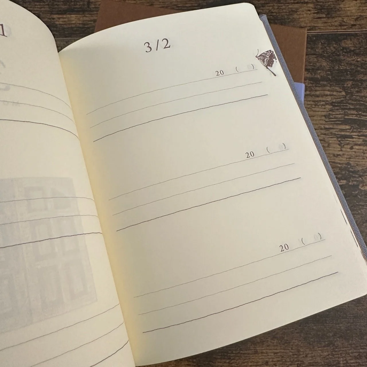 Midori 3-Year Diary Rulings