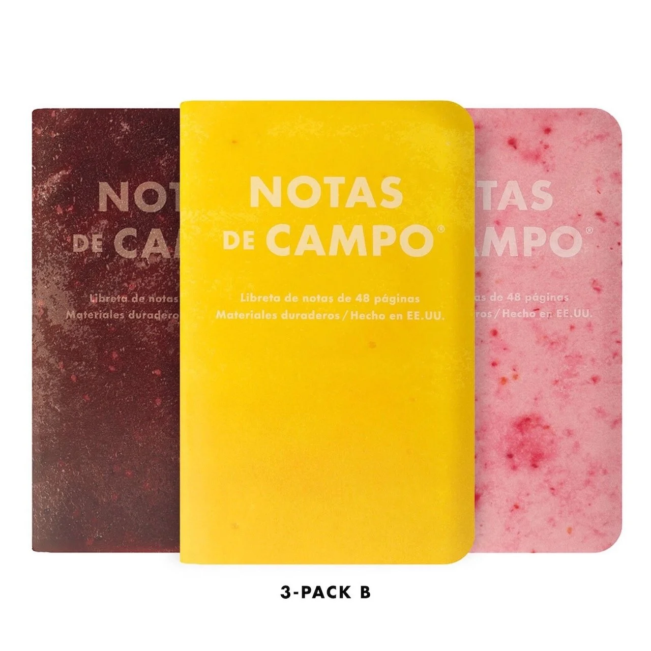 FIeld Notes Paletas Edition B