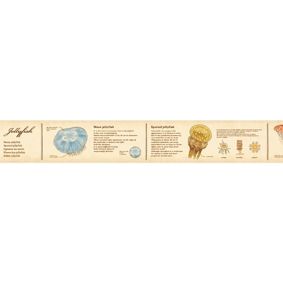 Encyclopedia Jellyfish 2.jpg