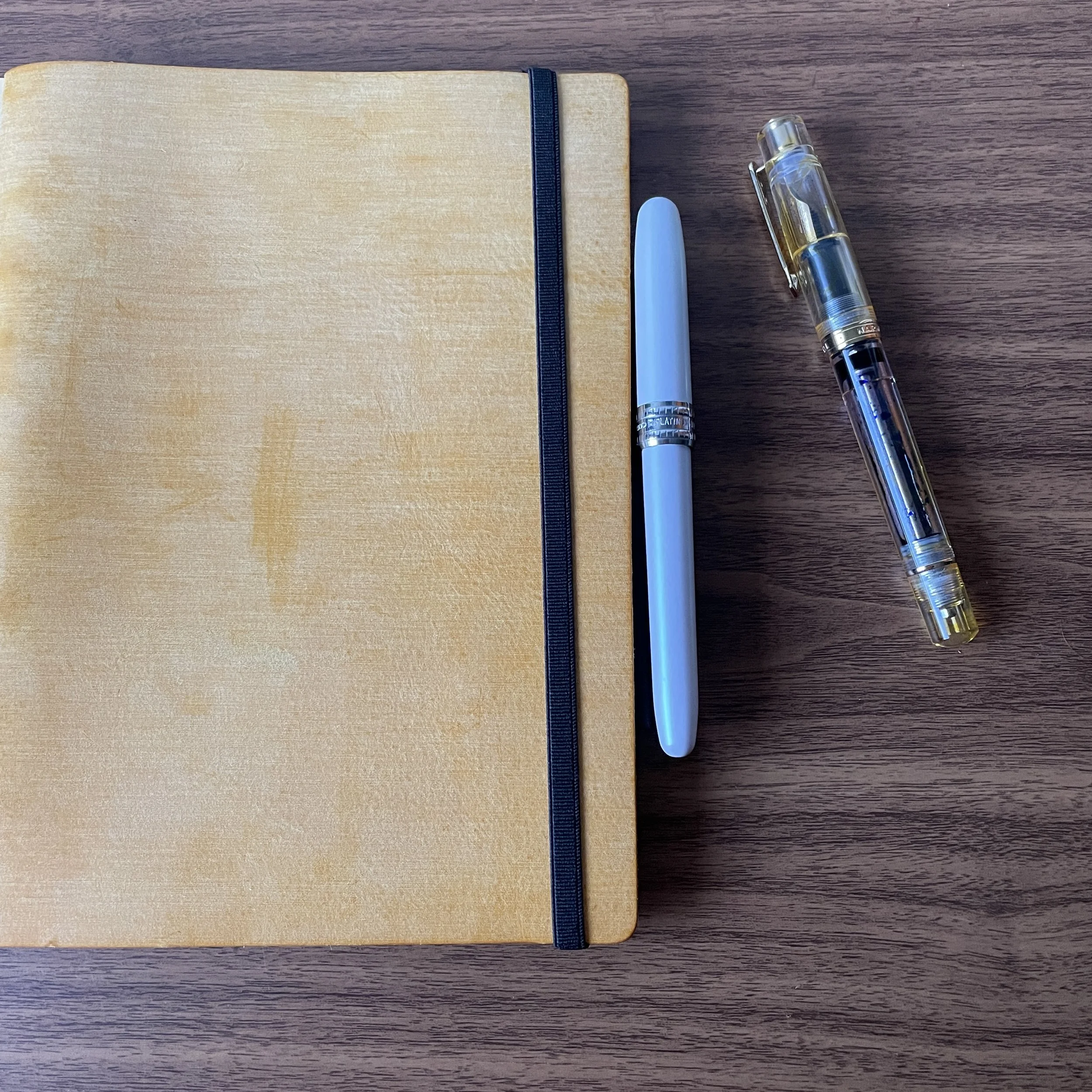 Pocket Size Fountain Pens for Journaling – My two favourites