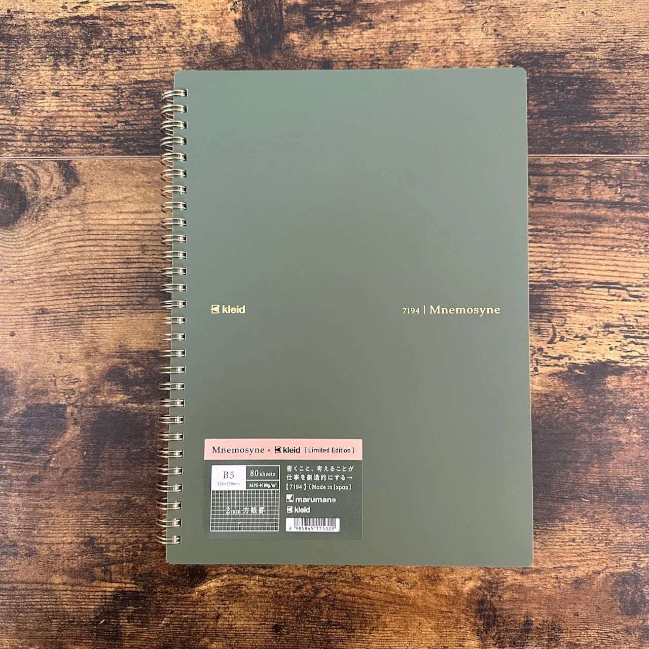 Mnemosyne x Kleid B5 Standard