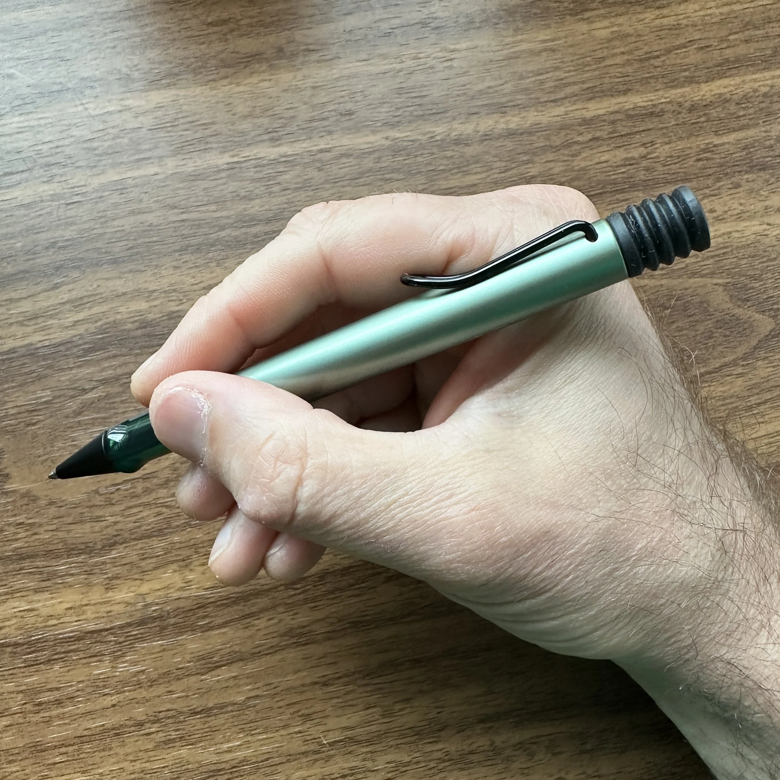 Lamy AL-Star Special Edition Sage Ballpoint in hand