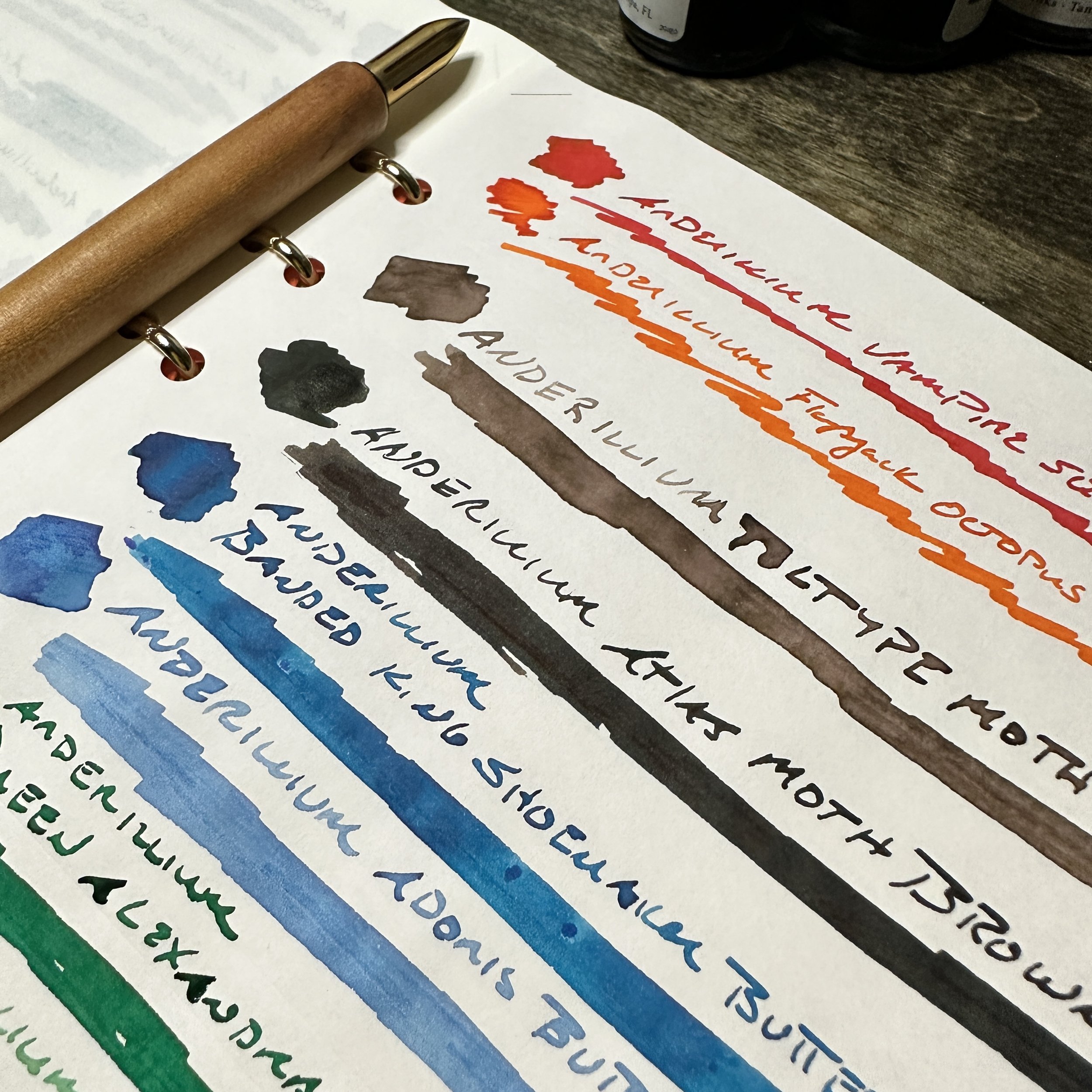 Tombow Dual Brush Pen Set – January Letterpress