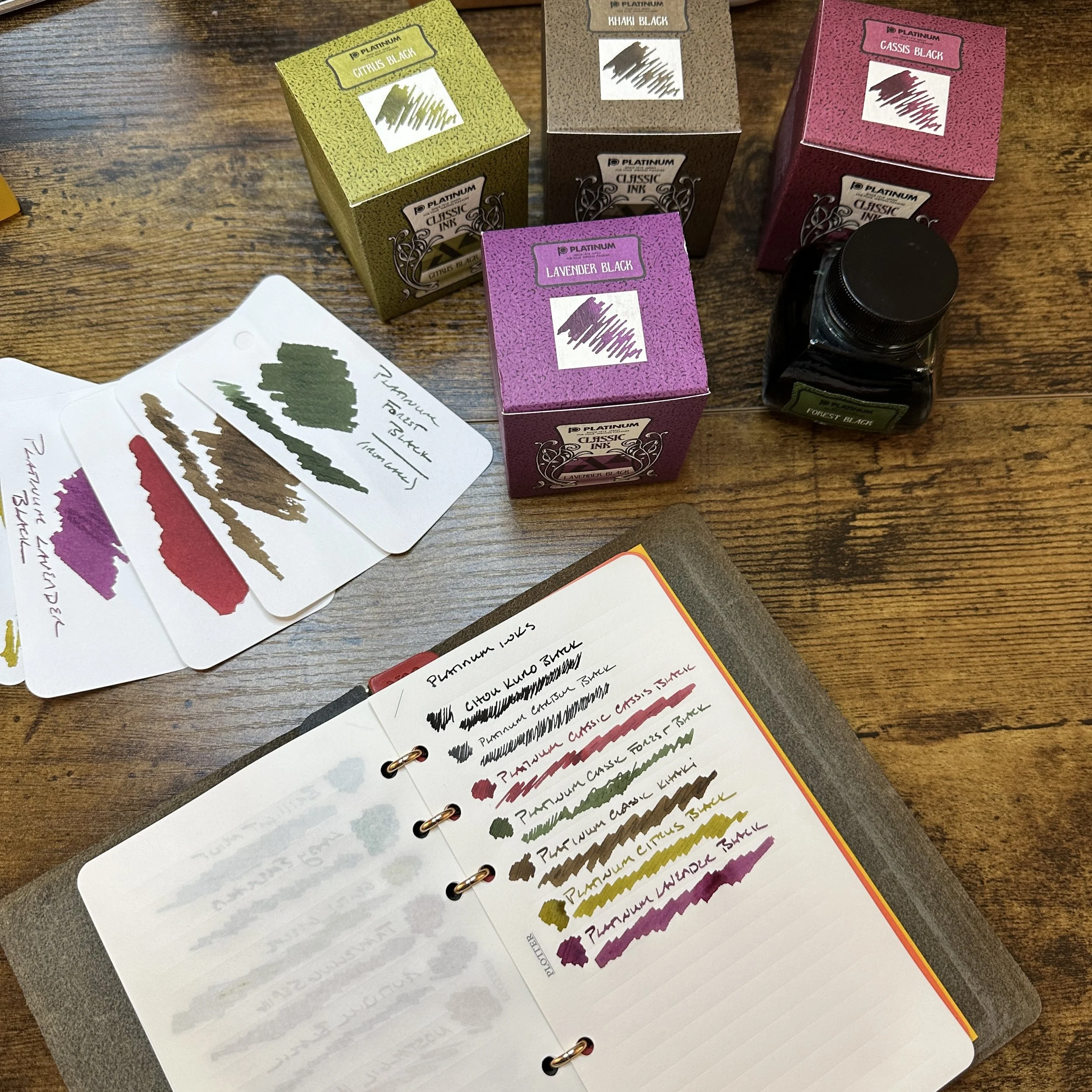 Platinum Classic Iron Gall Inks