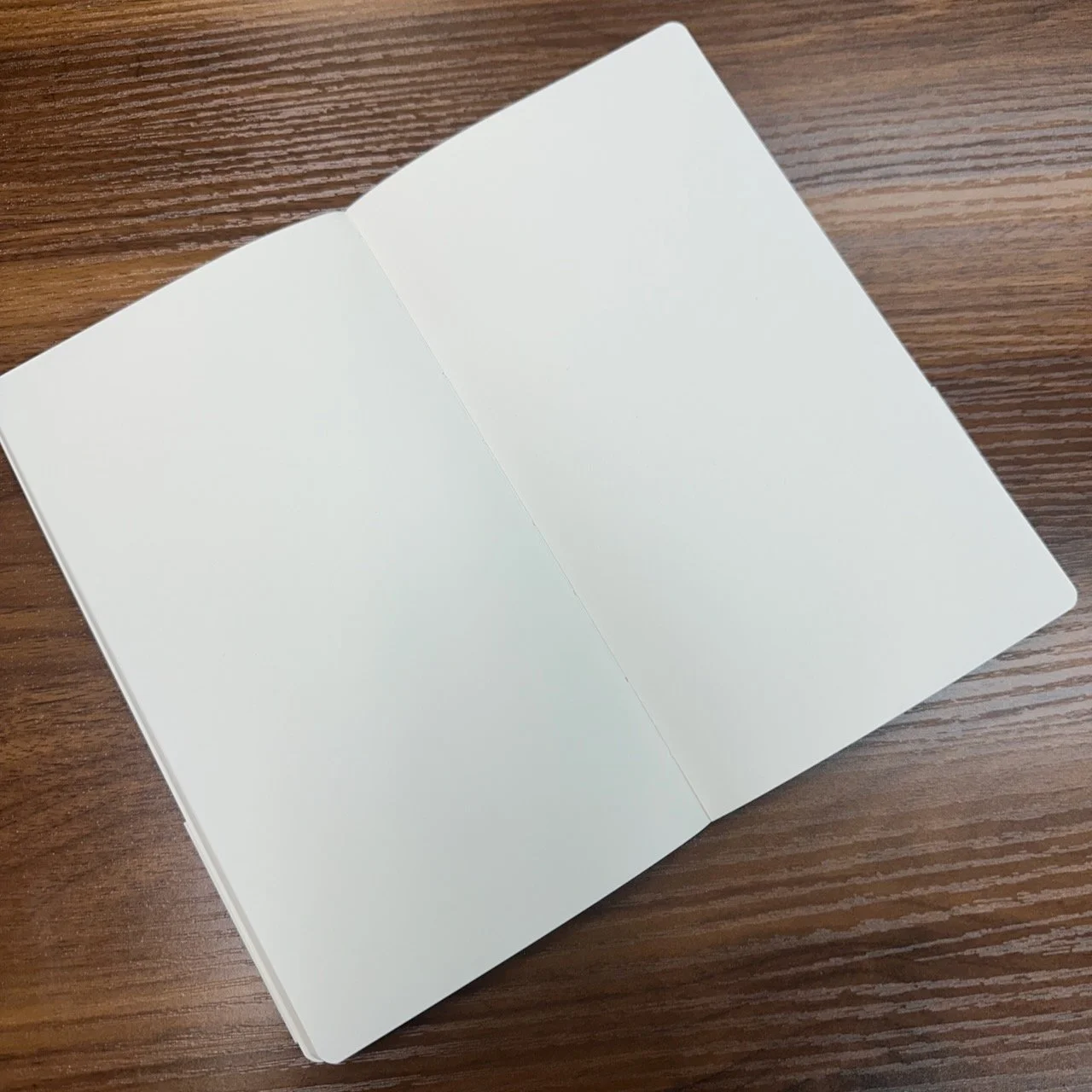 Graphilo Blank Paper