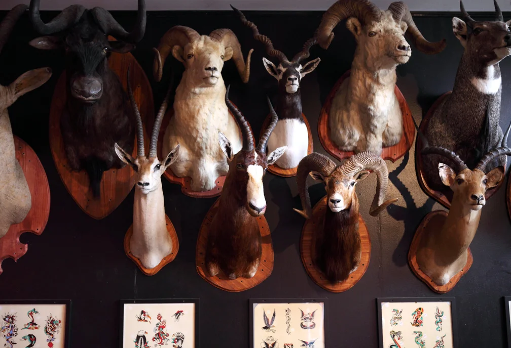 February GCB West: Buckshot Bar & Gameroom