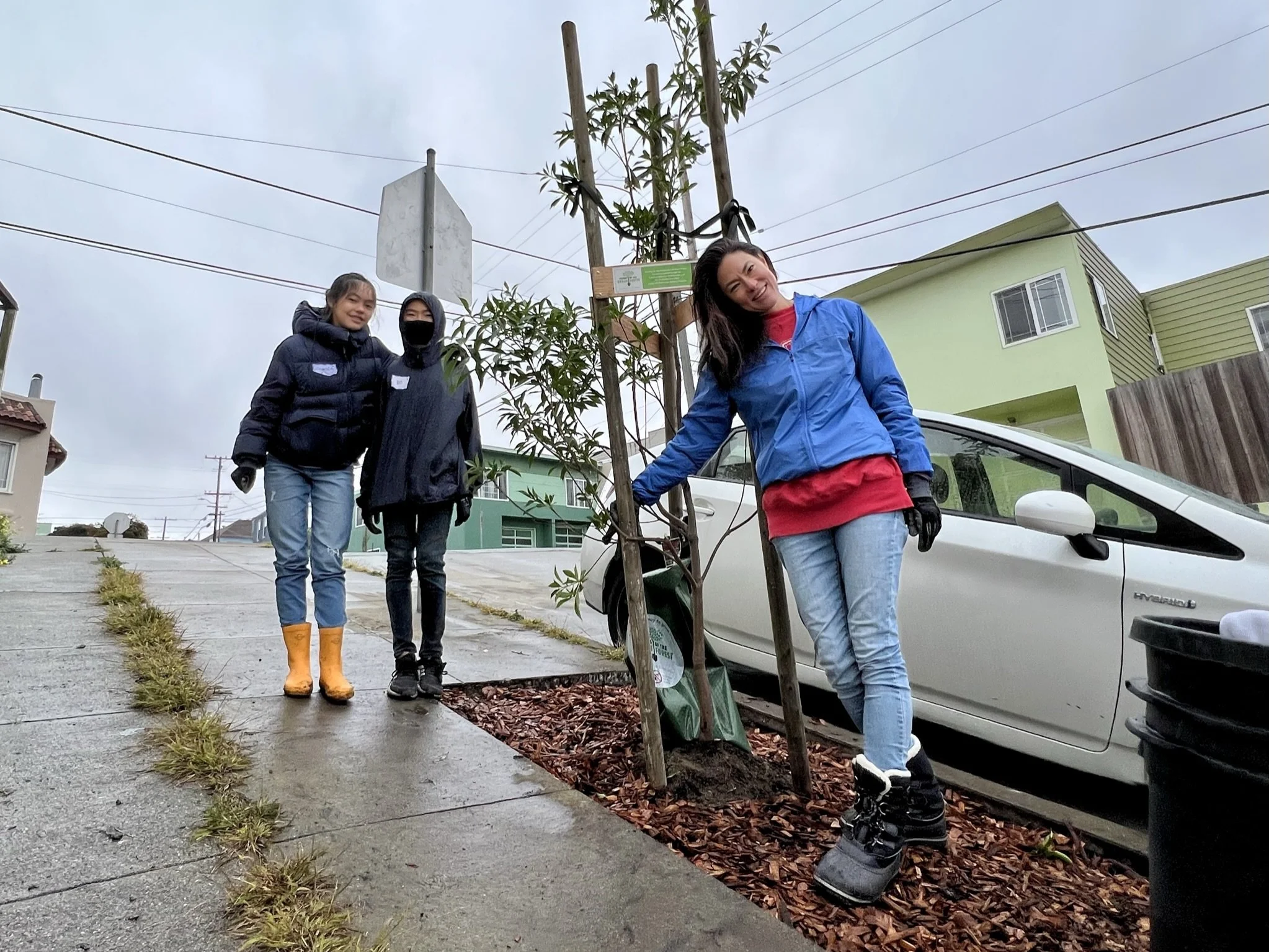 Tree Planting in Visitation Valley Neighborhood San Francisco 