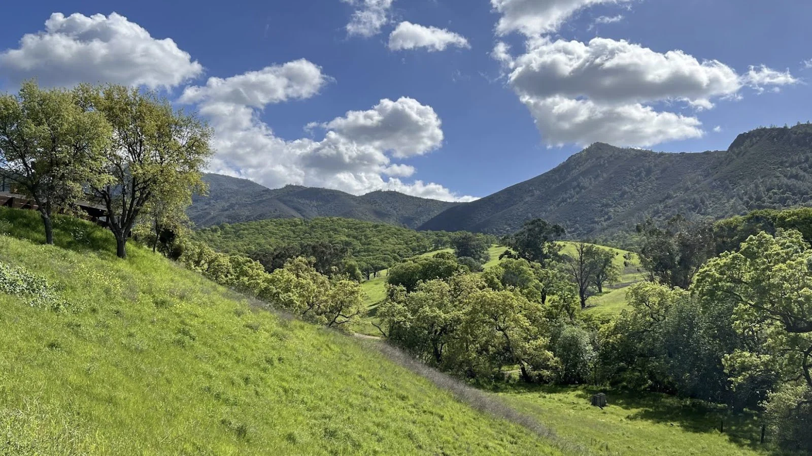 Mt. Diablo Hike: Donner Canyon, Middle Trail and Falls Trail