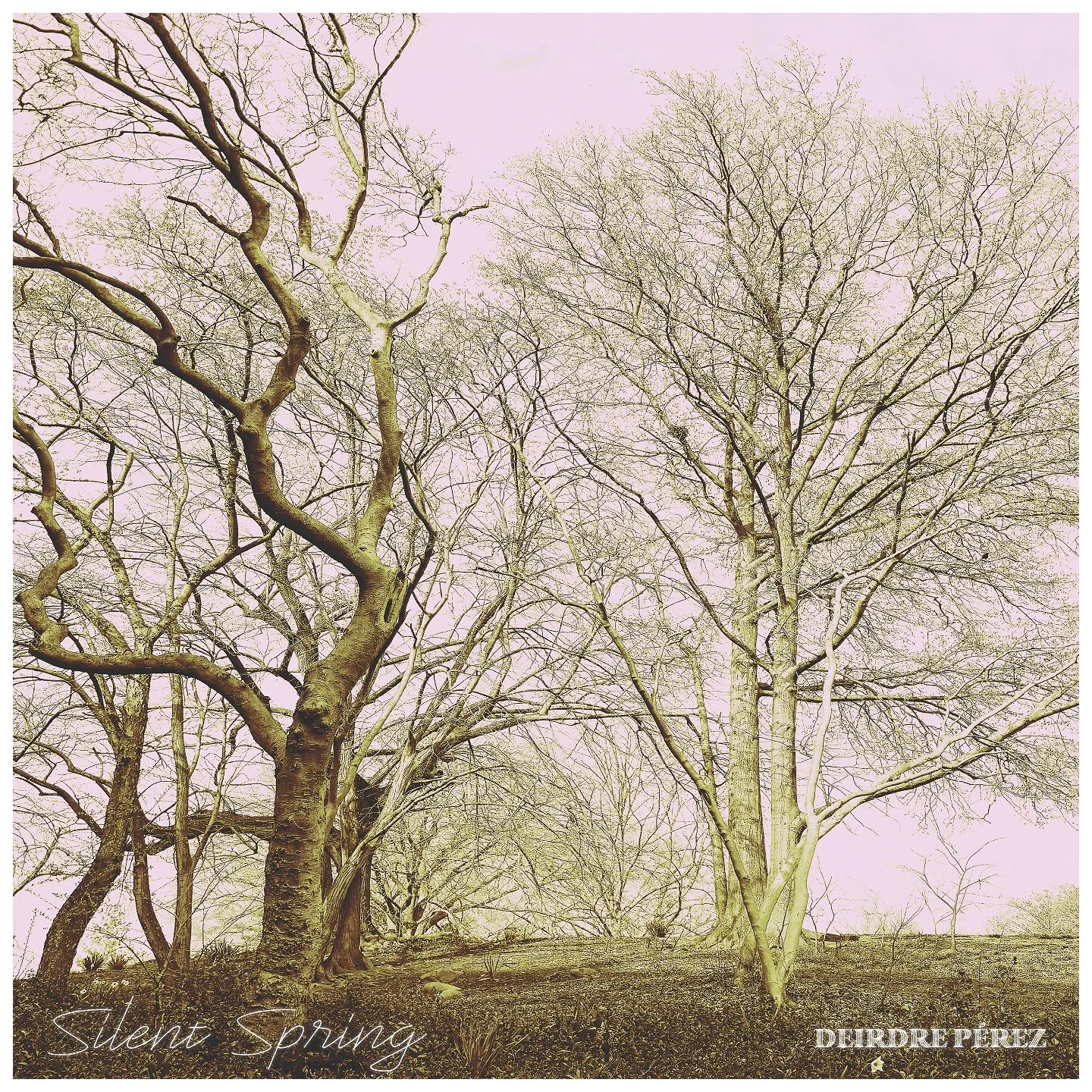 &ldquo;Silent Spring&rdquo; (my 5th release?!) is out today!

Thank you to my producer and co-composer @luckierobbie @meserolesoundstudio for lifting a snarky song and @lou_vecchio for driving hard on drums.

Super proud and always grateful! Thanks f