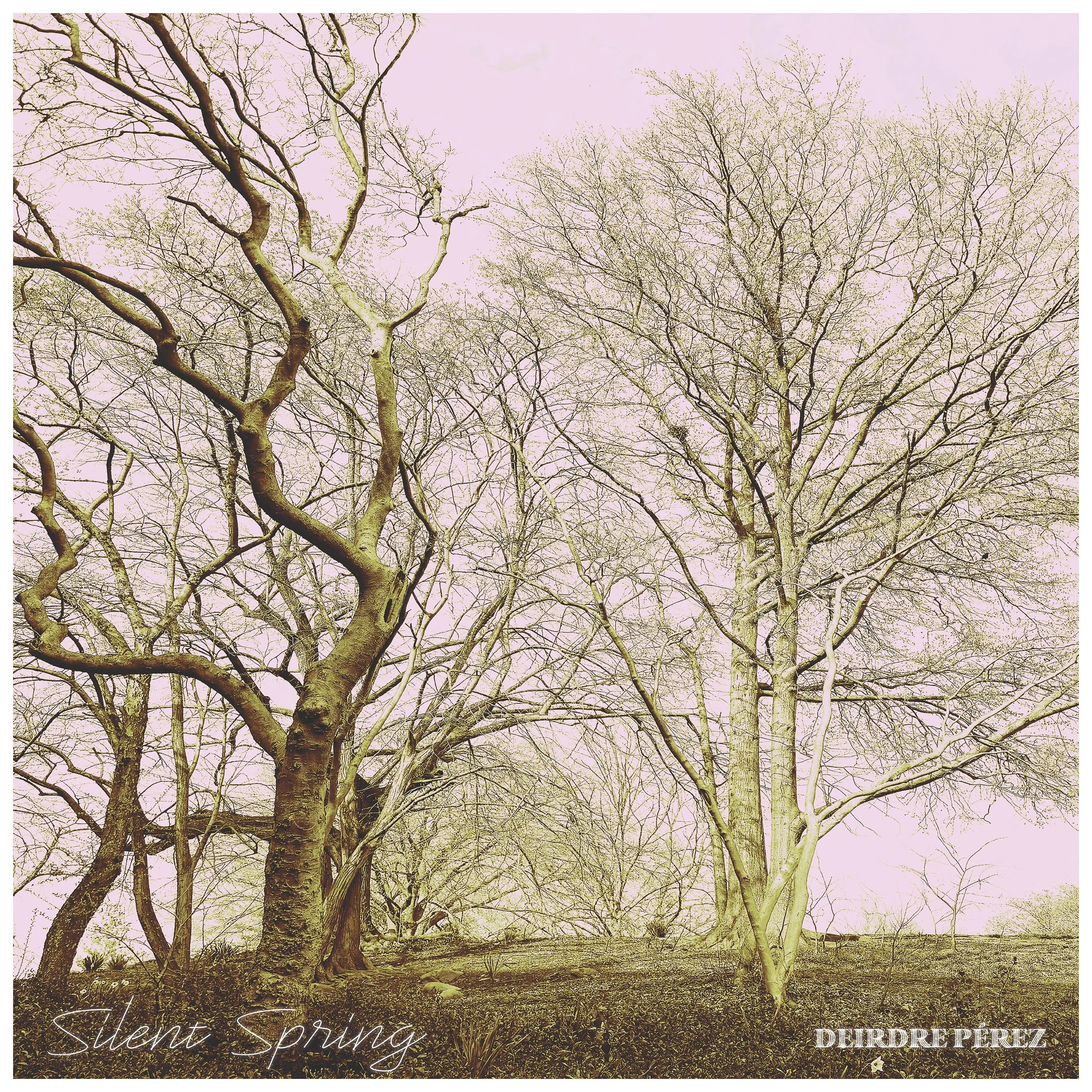 08.12.25 Silent Spring Cover Art.jpg
