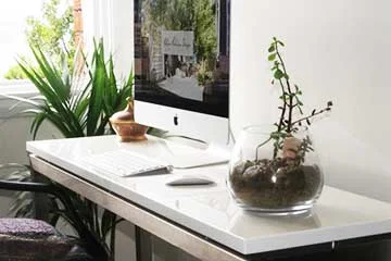 GARDENING TIP - Water Effectively
