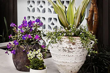 STYLE TIP - Creating Pot Clusters