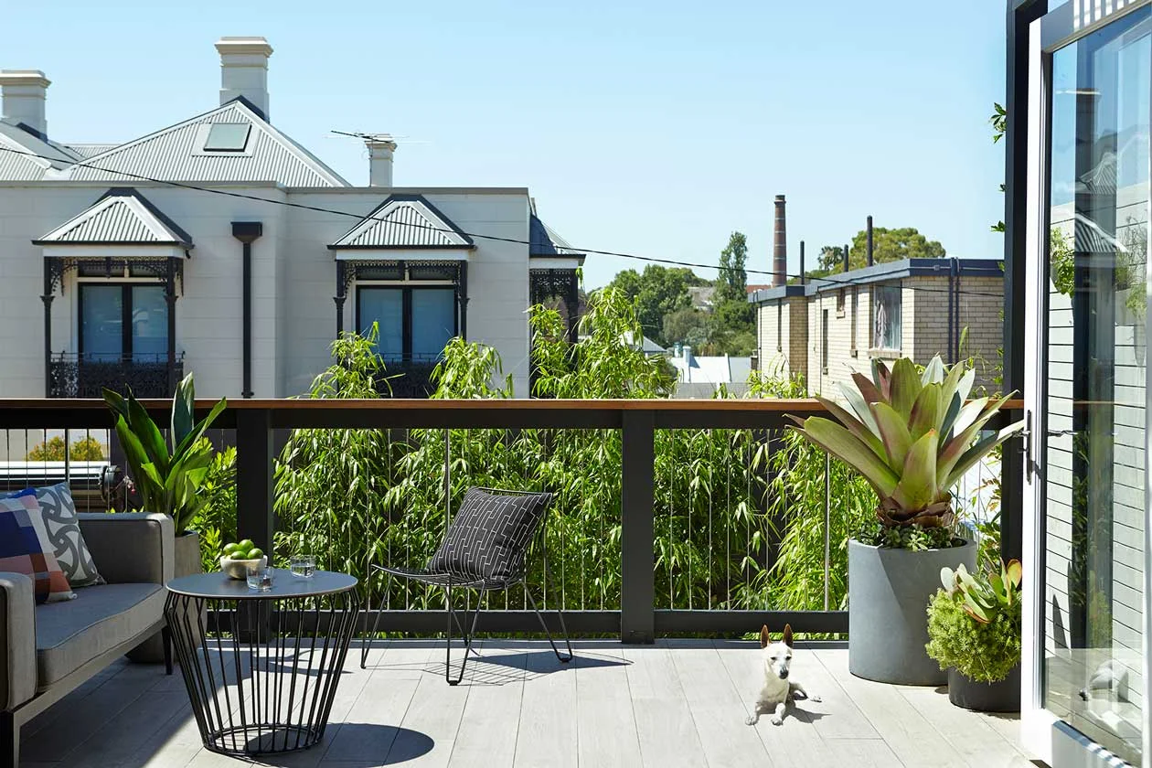 6. Use potted plants to play with scale against your furniture and surrounds
