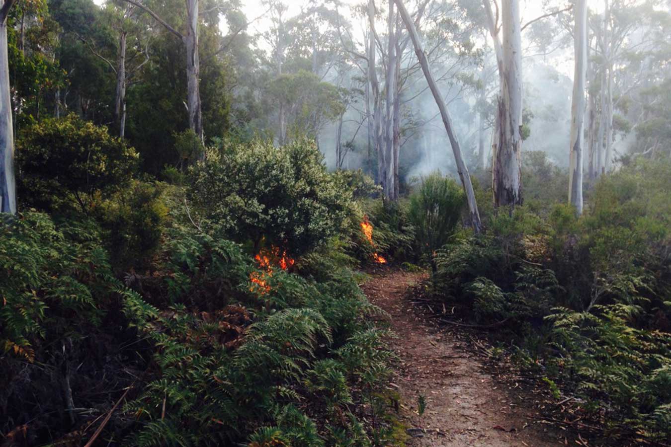 Photo: Lyndal Scobell, Cape York NRM