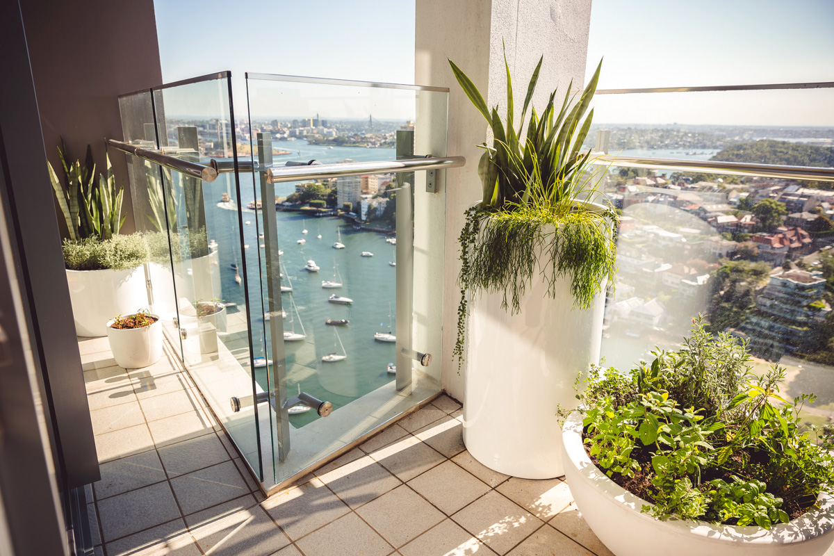 Herbs in pots featured in our Milsons Point Balcony Garden project
