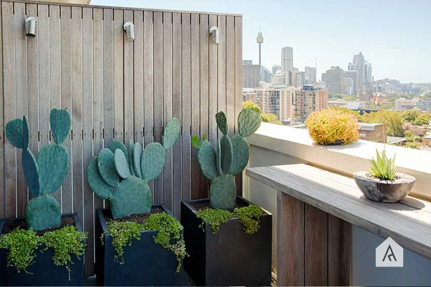 ©-Adam-Robinson-Design-Sydney-Outdoor-Design-Styling-Rooftop-Balcony-Gardens-Darlinghurst-01.jpg