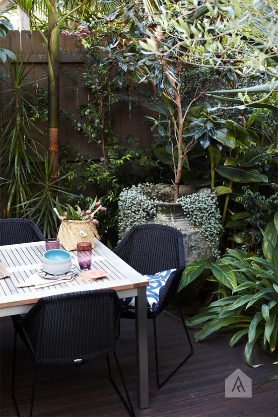 A classic pot with decorative underplanting makes a feature of this tree in our Fairlight Landscape Design project .