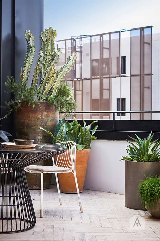 © Adam Robinson Design Sydney Outdoor Design Styling Rooftop Balcony Garden Waterloo 01.jpg