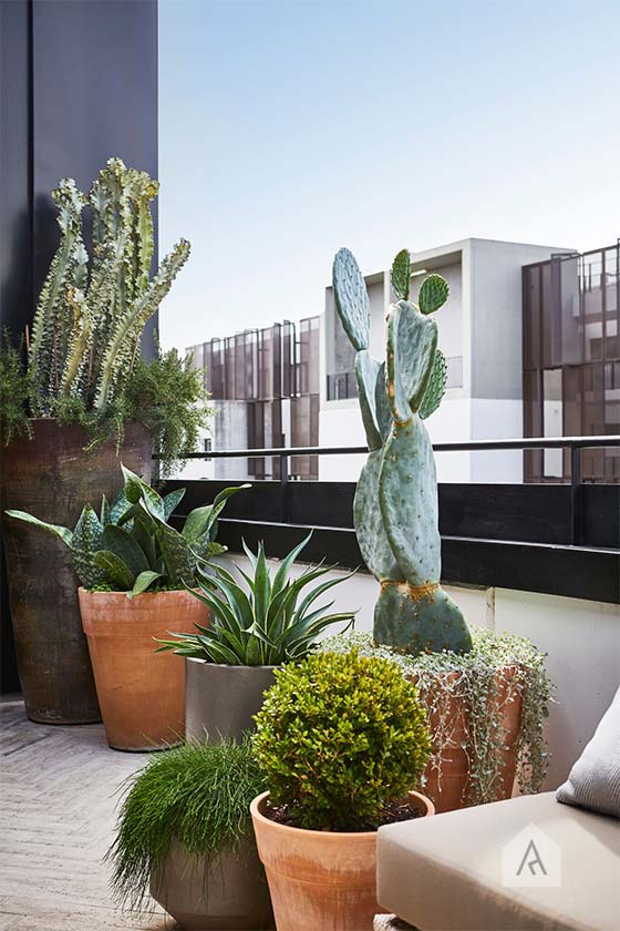 © Adam Robinson Design Sydney Outdoor Design Styling Rooftop Balcony Garden Waterloo 04.jpg