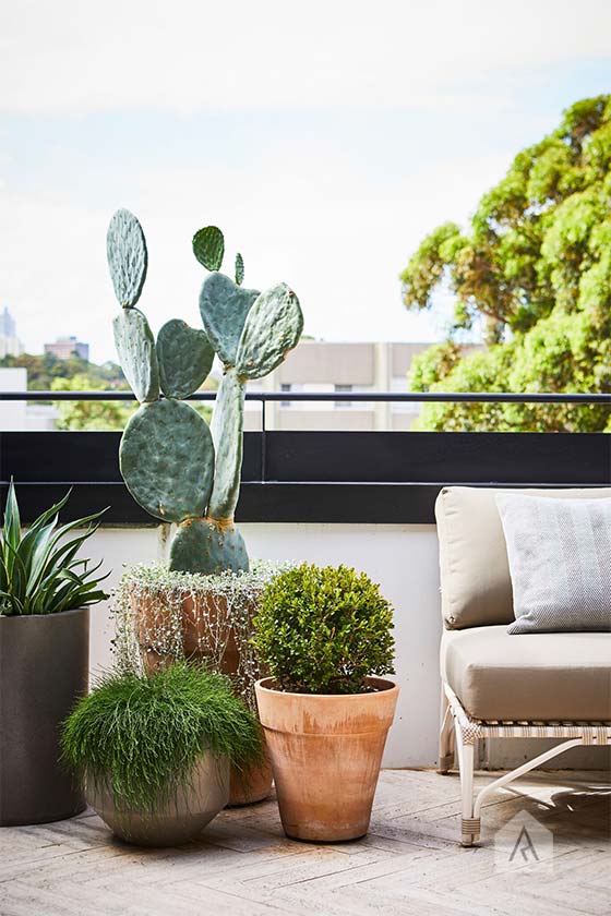 © Adam Robinson Design Sydney Outdoor Design Styling Rooftop Balcony Garden Waterloo 09.jpg