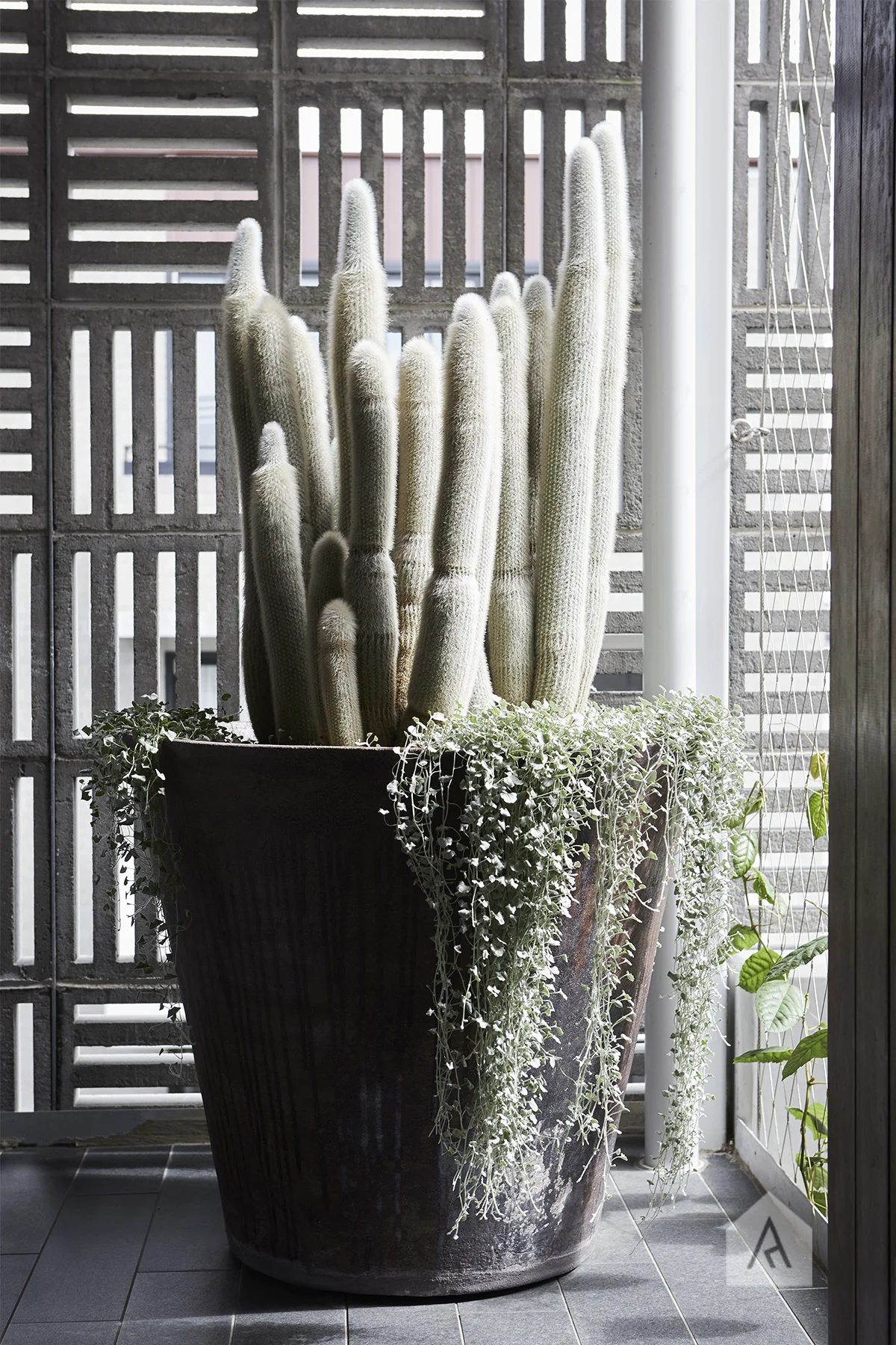 © Adam Robinson Design Front Garden 01.jpg