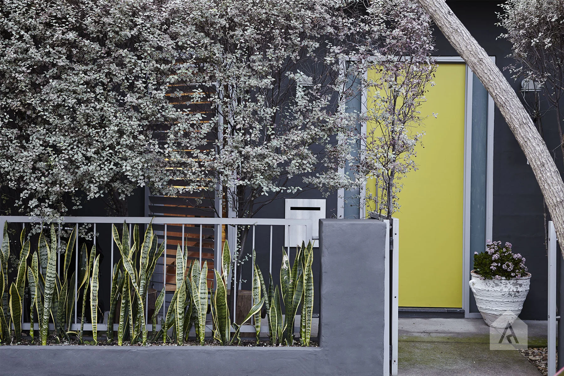 © Adam Robinson Design Front Garden 05.jpg