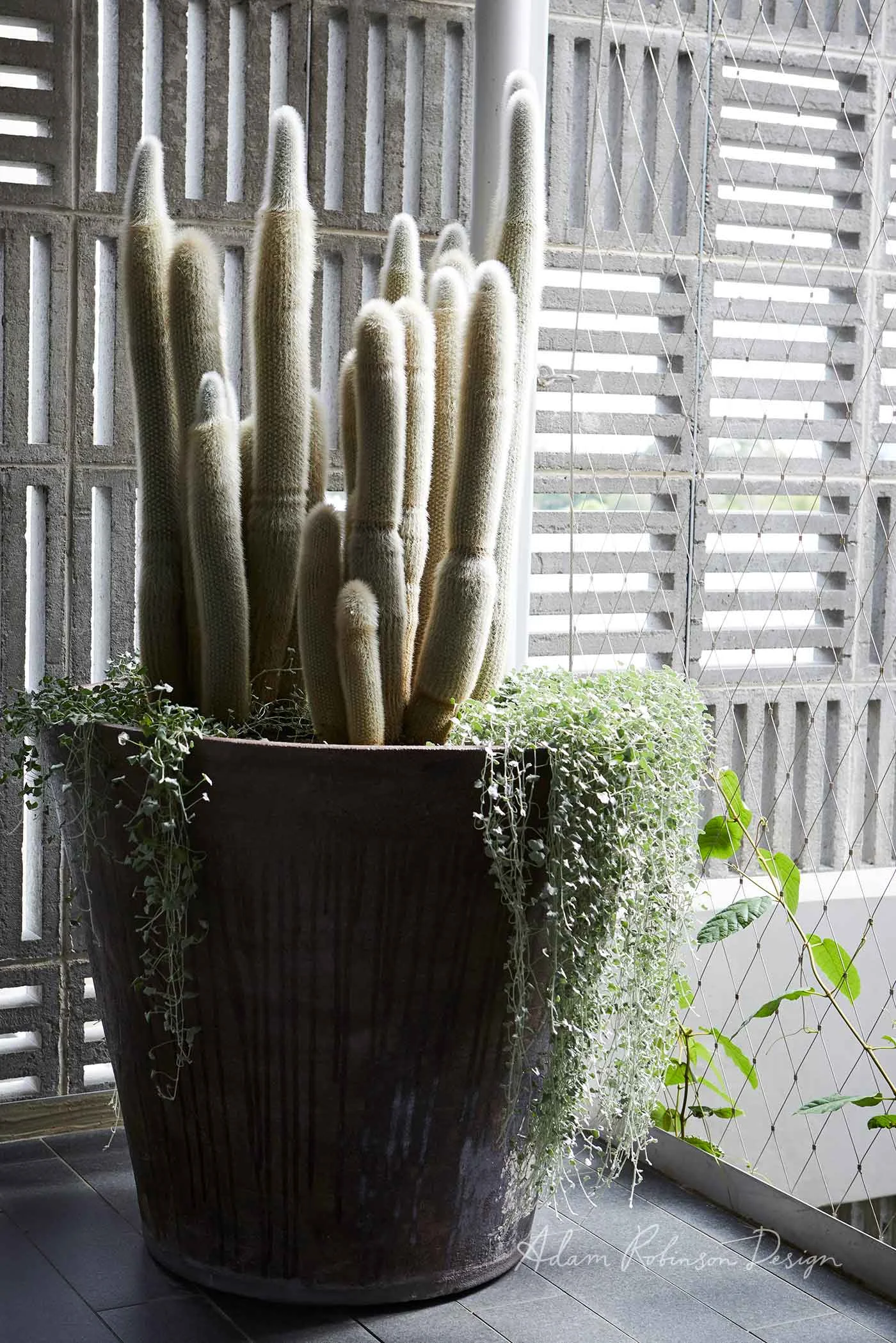 Rooftop Balcony Garden Waterloo Balcony — Adam Robinson Design