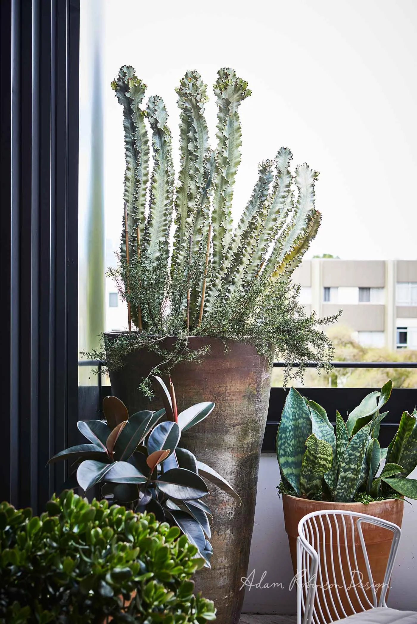 Rooftop Balcony Garden Waterloo Balcony — Adam Robinson Design