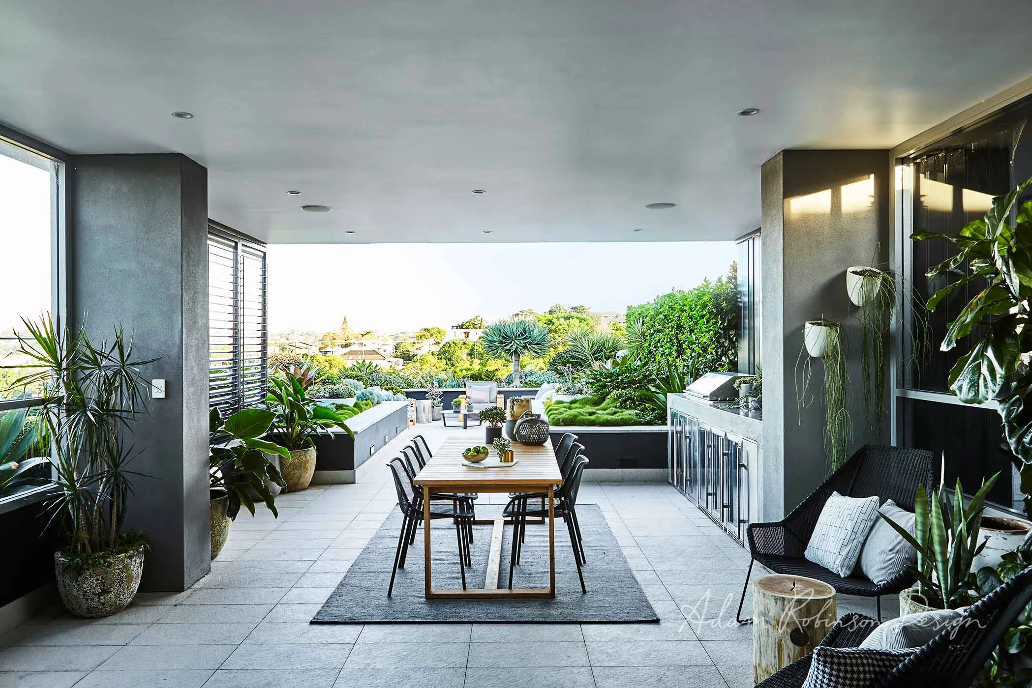 Rooftop Balcony Garden Drummoyne — Adam Robinson Design