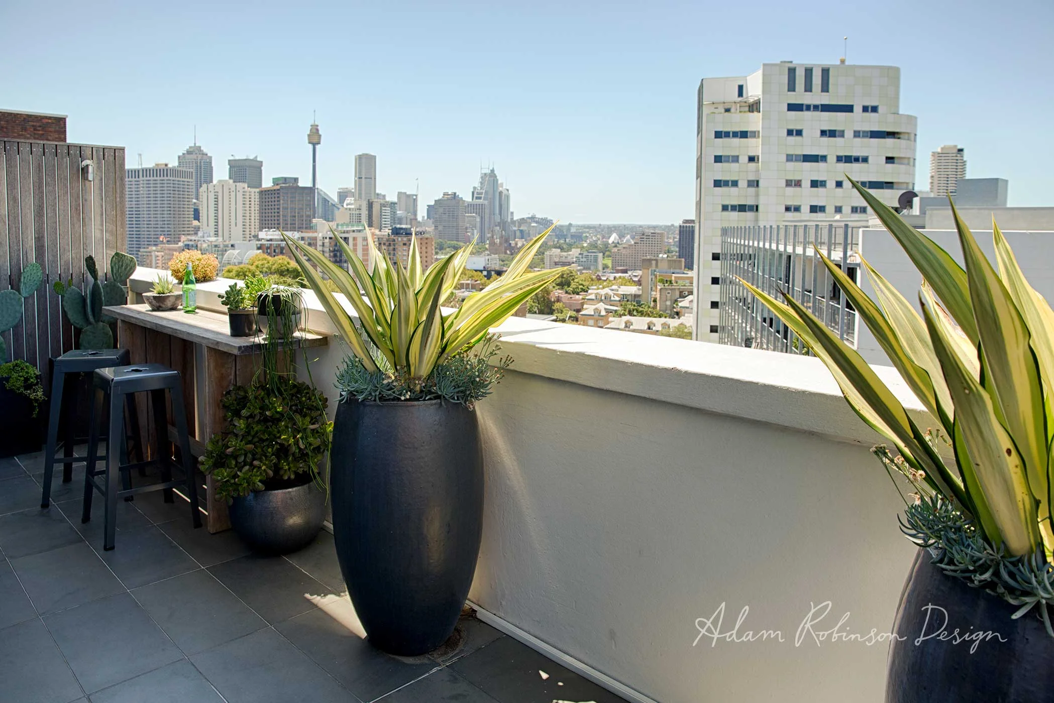 ©-Adam-Robinson-Design-Rooftop-and-Balcony-Garden-Project-06-Darlinghurst-02.jpg