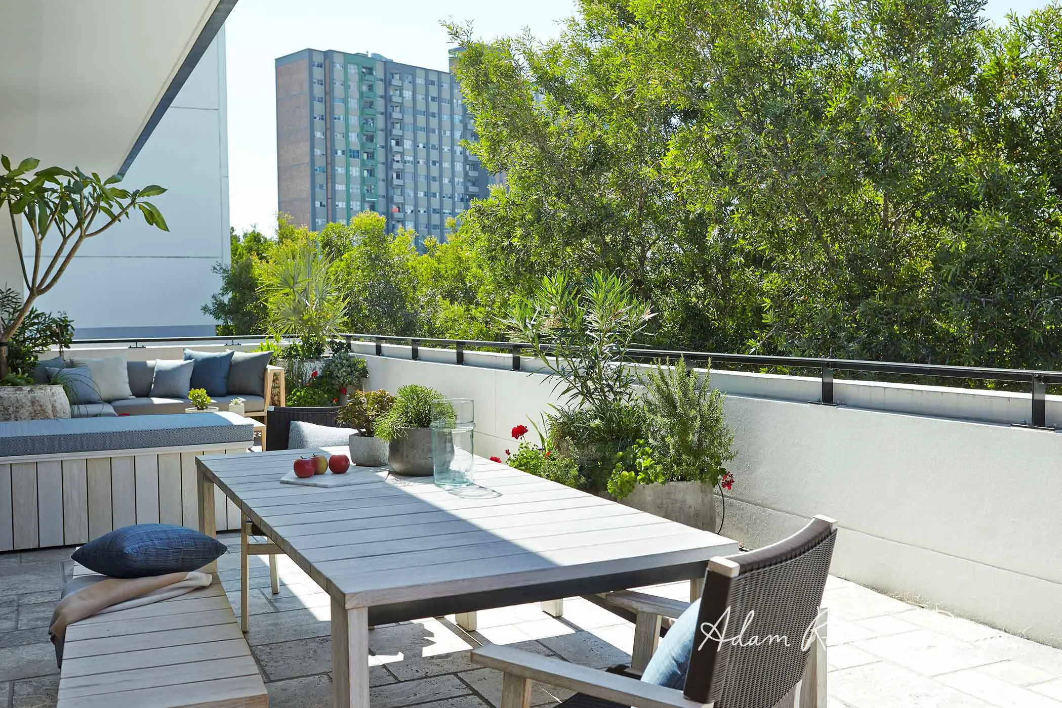 Rooftop Balcony Garden Waterloo — Adam Robinson Design